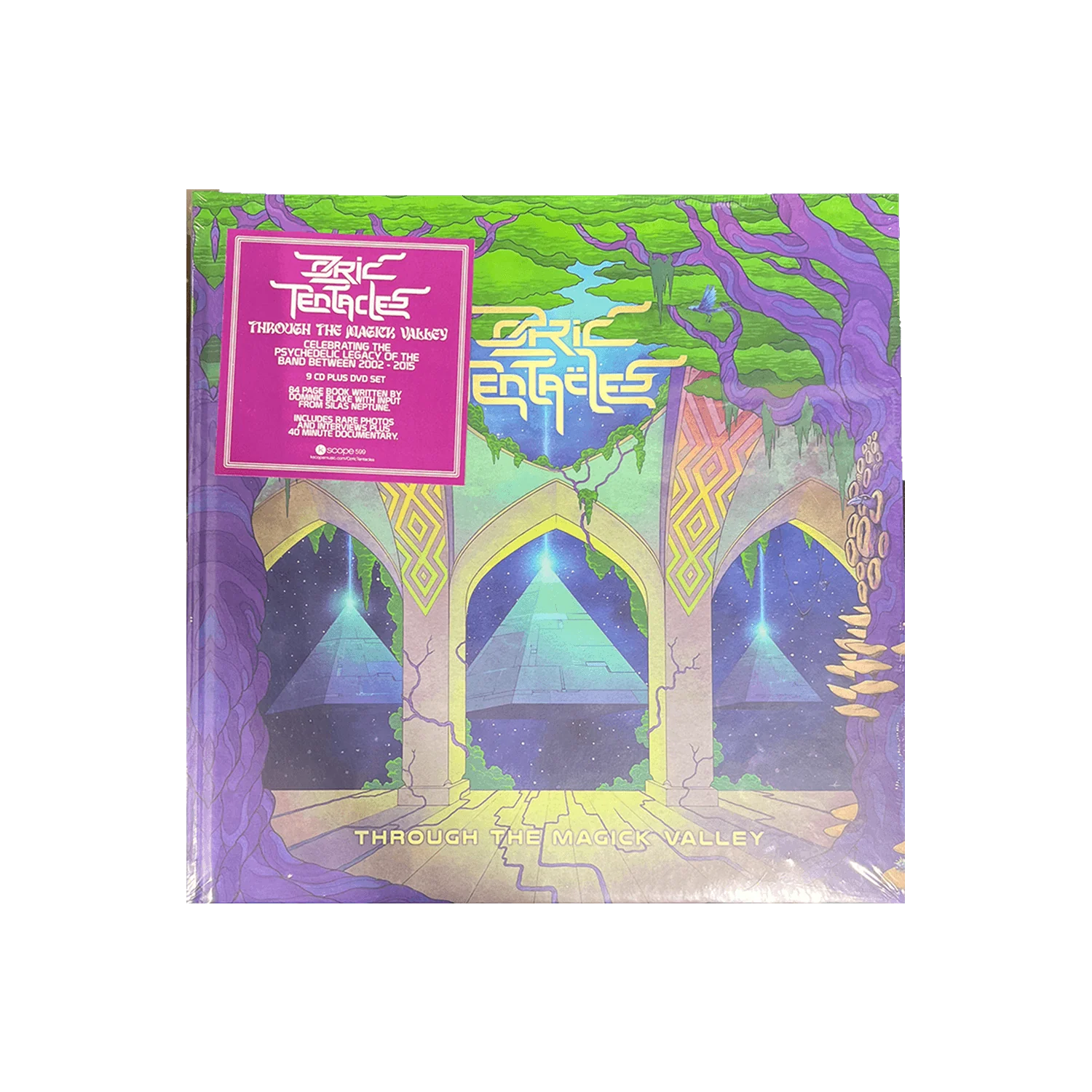 Ozric Tentacles - Through The Magick Valley (9 CD + DVD Box Set)