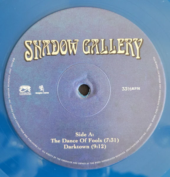 Shadow Gallery (Blue Double Vinyl LP) - Image 5